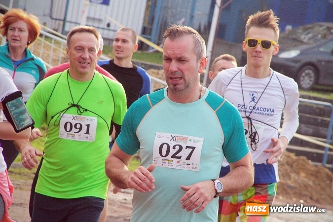 Zdjęcie w galerii na portalu naszwodzislaw.com: Około 300 zawodników na starcie Wodzisławskiego Półmaratonu. ZDJĘCIA  wiadomości z regionu