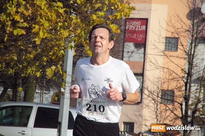 Zdjęcie w galerii na portalu naszwodzislaw.com: Około 300 zawodników na starcie Wodzisławskiego Półmaratonu. ZDJĘCIA  wiadomości z regionu