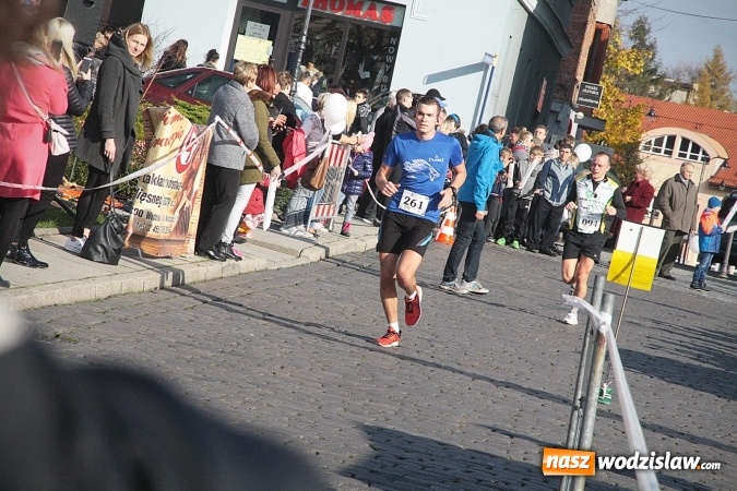 Zdjęcie w galerii na portalu naszwodzislaw.com: Około 300 zawodników na starcie Wodzisławskiego Półmaratonu. ZDJĘCIA  wiadomości z regionu