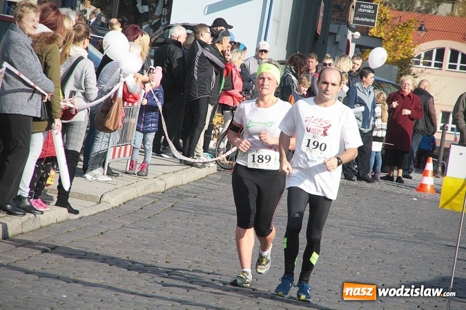 Zdjęcie w galerii na portalu naszwodzislaw.com: Około 300 zawodników na starcie Wodzisławskiego Półmaratonu. ZDJĘCIA  wiadomości z regionu