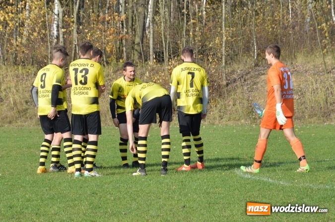 Zdjęcie w galerii na portalu naszwodzislaw.com: Przegrana z kretesem! Górki Śląskie lepsze od Czyżowic  wiadomości z regionu