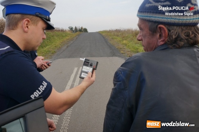 Zdjęcie w galerii na portalu naszwodzislaw.com: Policjanci przyglądali się wzajemnym relacjom między kierującymi a pieszymi. Nałożono 41 mandatów wiadomości z regionu