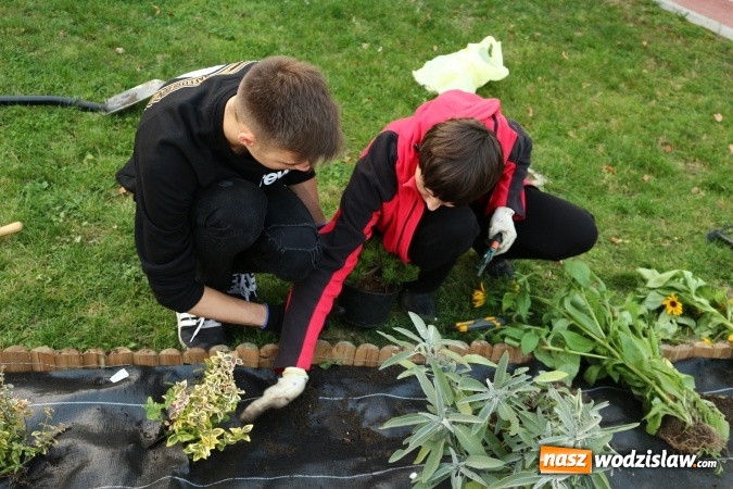 Zdjęcie w galerii na portalu naszwodzislaw.com: Zielono i sensorycznie w Radlinie wiadomości z regionu