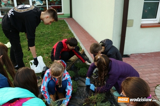 Zdjęcie w galerii na portalu naszwodzislaw.com: Zielono i sensorycznie w Radlinie wiadomości z regionu