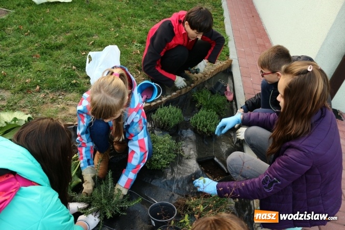 Zdjęcie w galerii na portalu naszwodzislaw.com: Zielono i sensorycznie w Radlinie wiadomości z regionu