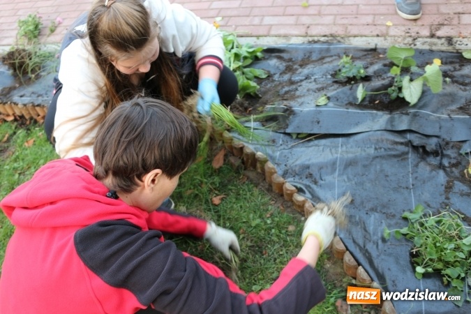 Zdjęcie w galerii na portalu naszwodzislaw.com: Zielono i sensorycznie w Radlinie wiadomości z regionu
