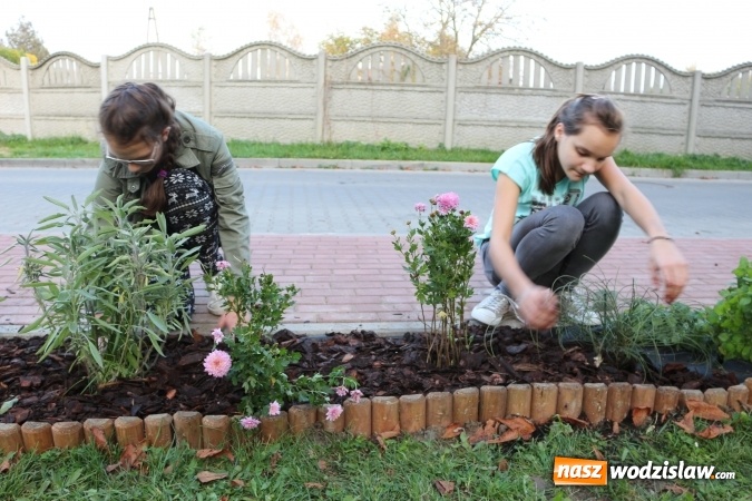 Zdjęcie w galerii na portalu naszwodzislaw.com: Zielono i sensorycznie w Radlinie wiadomości z regionu