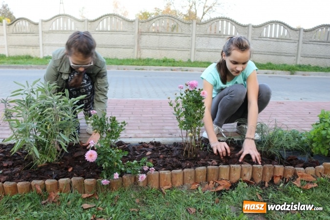 Zdjęcie w galerii na portalu naszwodzislaw.com: Zielono i sensorycznie w Radlinie wiadomości z regionu