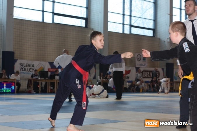 Zdjęcie w galerii na portalu naszwodzislaw.com: Paulina Śnieg ze złotym medalem! wiadomości z regionu