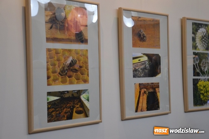 Zdjęcie w galerii na portalu naszwodzislaw.com: Kolejna edycja Jarmarku Pszczelego w Gorzycach  wiadomości z regionu