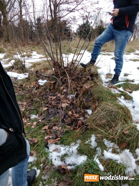 Zdjęcie w galerii na portalu naszwodzislaw.com: Rydułtowy: Wędkarze znaleźli pocisk wiadomości z regionu