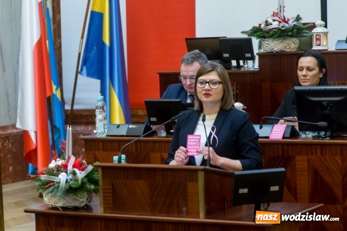 Zdjęcie w galerii na portalu naszwodzislaw.com: Przyszły rok będzie Rokiem 100-lecia Związku Harcerstwa Polskiego oraz Profilaktyki Raka Piersi wiadomości z regionu