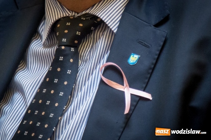 Zdjęcie w galerii na portalu naszwodzislaw.com: Przyszły rok będzie Rokiem 100-lecia Związku Harcerstwa Polskiego oraz Profilaktyki Raka Piersi wiadomości z regionu