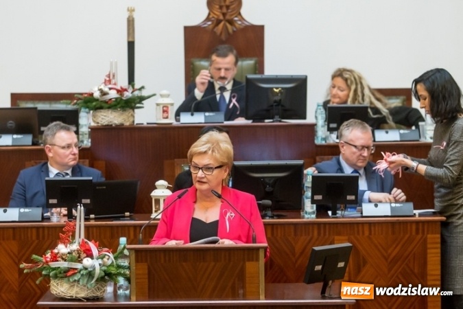 Zdjęcie w galerii na portalu naszwodzislaw.com: Przyszły rok będzie Rokiem 100-lecia Związku Harcerstwa Polskiego oraz Profilaktyki Raka Piersi wiadomości z regionu