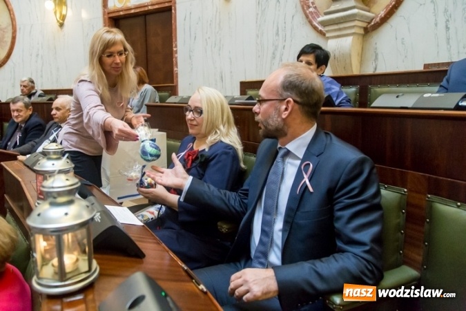 Zdjęcie w galerii na portalu naszwodzislaw.com: Przyszły rok będzie Rokiem 100-lecia Związku Harcerstwa Polskiego oraz Profilaktyki Raka Piersi wiadomości z regionu
