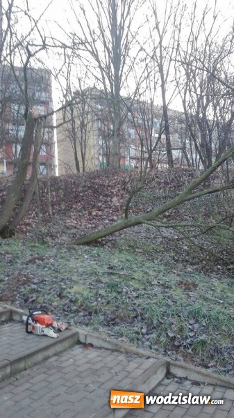 Zdjęcie w galerii na portalu naszwodzislaw.com: Porządkują Rodzinny Park Rozrywki  wiadomości z regionu
