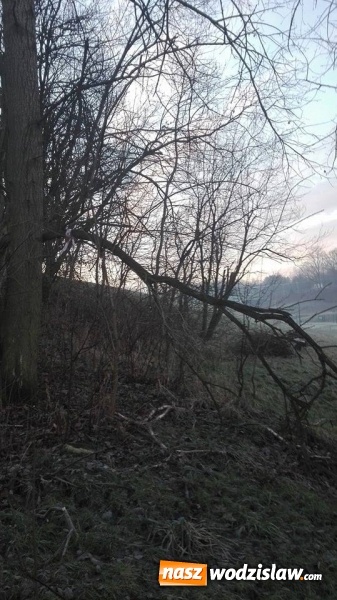 Zdjęcie w galerii na portalu naszwodzislaw.com: Porządkują Rodzinny Park Rozrywki  wiadomości z regionu