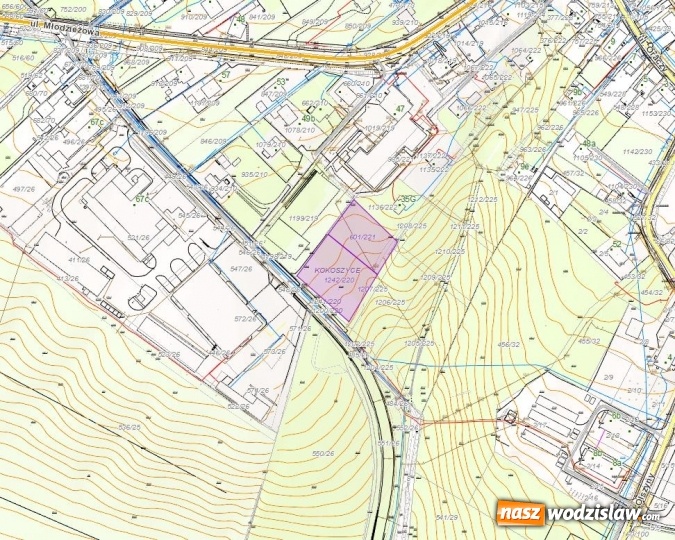 Zdjęcie w galerii na portalu naszwodzislaw.com: Niezabudowana działka przy ul. Olszyny na sprzedaż wiadomości z regionu