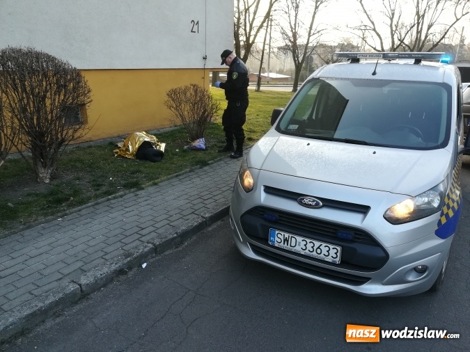 Zdjęcie w galerii na portalu naszwodzislaw.com: Pijana kobieta leżała na trawniku. Interweniowała straż miejska wiadomości z regionu
