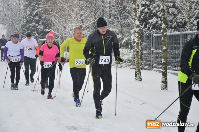 Zdjęcie w galerii na portalu naszwodzislaw.com: X Bieg o Puchar Burmistrza Miasta Pszów przyciągnął rekordową liczbę uczestników wiadomości z regionu
