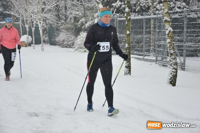 Zdjęcie w galerii na portalu naszwodzislaw.com: X Bieg o Puchar Burmistrza Miasta Pszów przyciągnął rekordową liczbę uczestników wiadomości z regionu