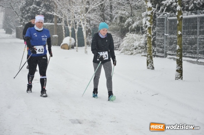 Zdjęcie w galerii na portalu naszwodzislaw.com: X Bieg o Puchar Burmistrza Miasta Pszów przyciągnął rekordową liczbę uczestników wiadomości z regionu