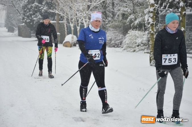 Zdjęcie w galerii na portalu naszwodzislaw.com: X Bieg o Puchar Burmistrza Miasta Pszów przyciągnął rekordową liczbę uczestników wiadomości z regionu