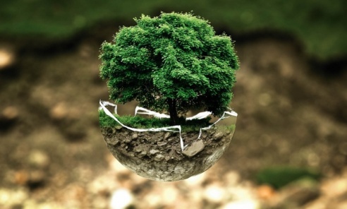 Szkoła Podstawowa w Gołkowicach z szansą na Zieloną Pracownię - Serwis informacyjny z Wodzisławia Śląskiego - naszwodzislaw.com