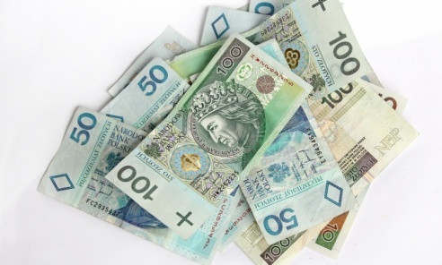 Powiat ogłasza konkurs na dotacje dla organizacji pozarządowych - Serwis informacyjny z Wodzisławia Śląskiego - naszwodzislaw.com