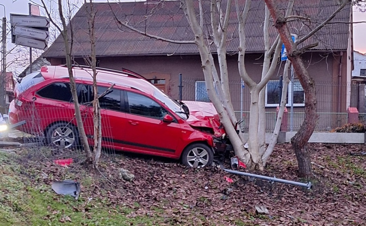 Zamyślił się i wjechał w drzewo. Niebezpieczne zdarzenie w Syryni - Serwis informacyjny z Wodzisławia Śląskiego - naszwodzislaw.com