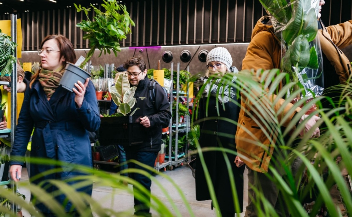 Festiwal Roślin w ZSP nr 2 już w ten weekend - Serwis informacyjny z Raciborza - naszraciborz.pl