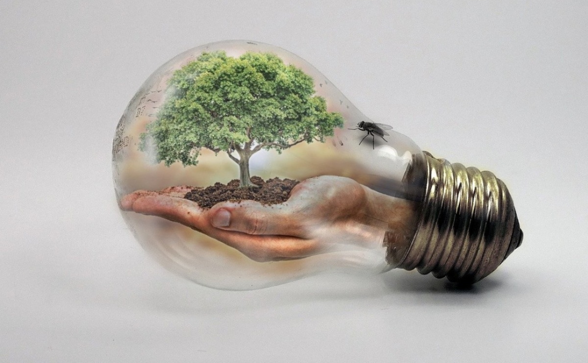 Wodzisław Śląski. Miejski Plan Adaptacji z dofinansowaniem - Serwis informacyjny z Raciborza - naszraciborz.pl