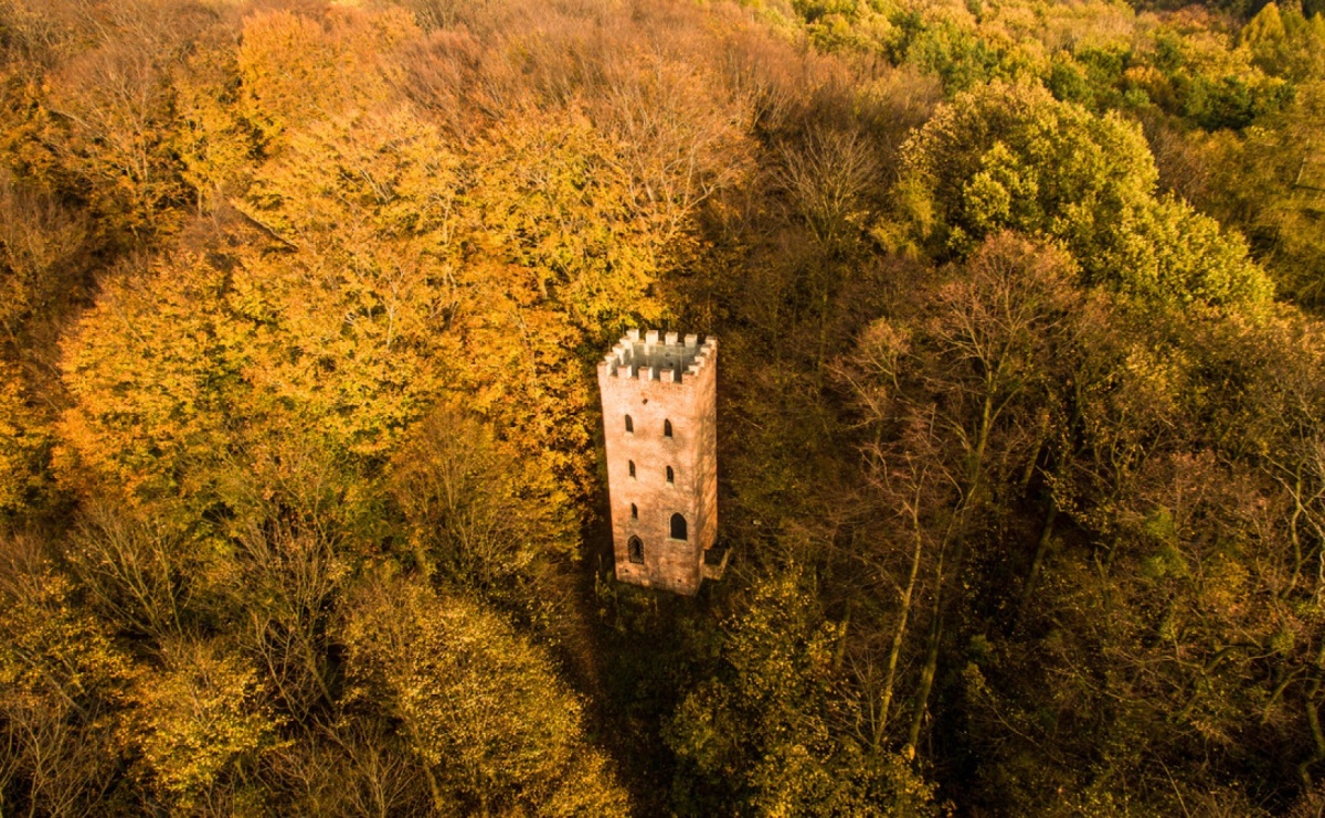Spotkanie z archeologią. Nieznane wodzisławskie Grodzisko - Serwis informacyjny z Raciborza - naszraciborz.pl
