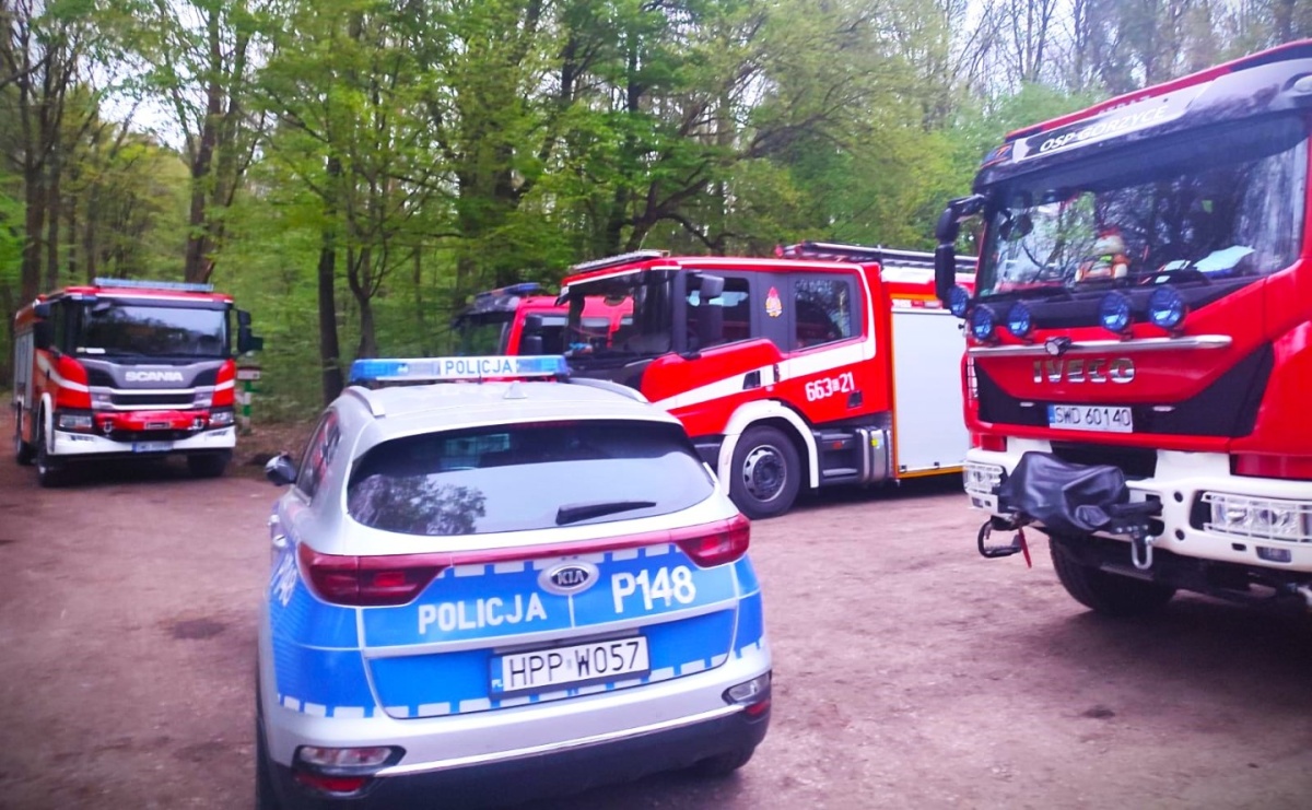 W Gorzycach miała spaść awionetka. W akcji strażacy i śmigłowiec poszukiwawczy - Serwis informacyjny z Wodzisławia Śląskiego - naszwodzislaw.com