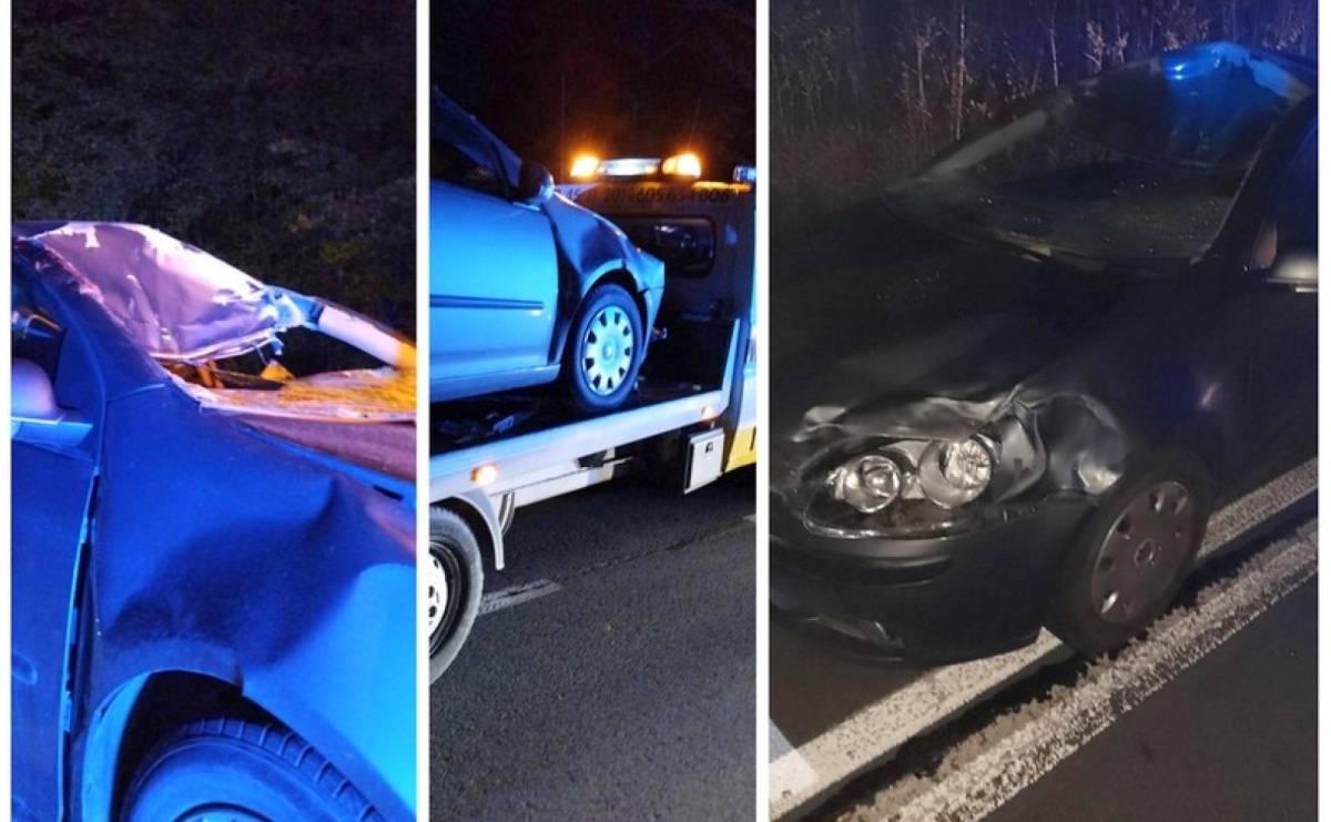 Koń zderzył się z samochodem. 22-latka w szpitalu - Serwis informacyjny z Raciborza - naszraciborz.pl