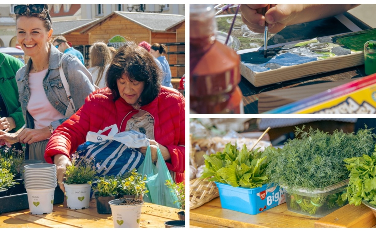 EkoPoranek pełen atrakcji za nami [FOTO] - Serwis informacyjny z Wodzisławia Śląskiego - naszwodzislaw.com
