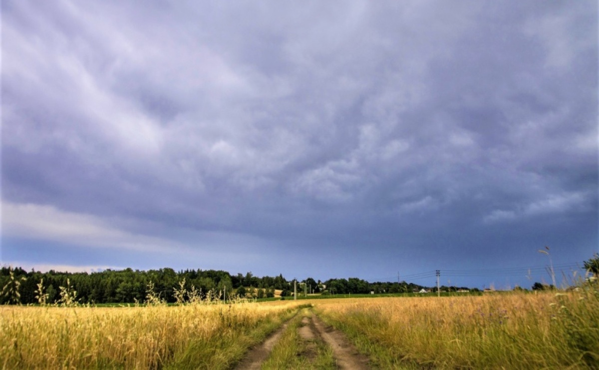 Służby ostrzegają przed burzami. Komunikat IMGW - Serwis informacyjny z Raciborza - naszraciborz.pl
