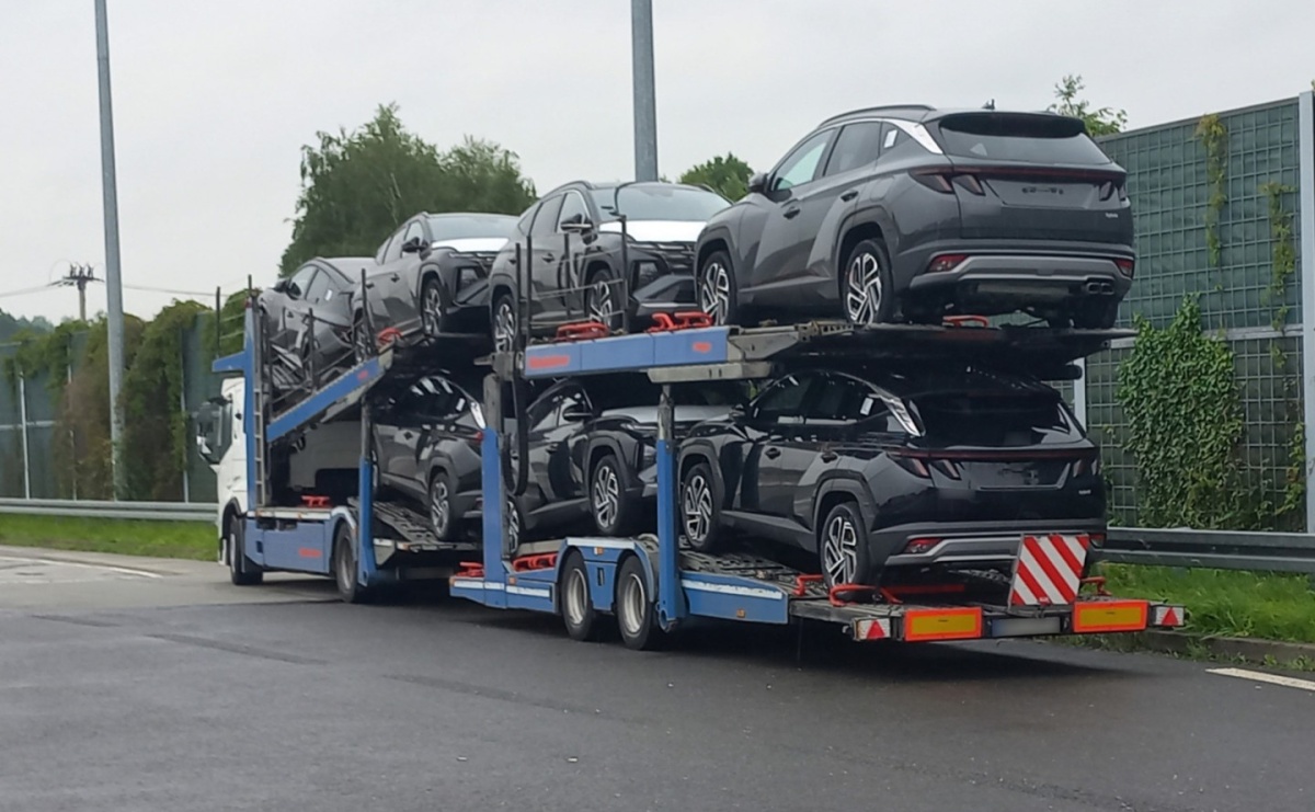 Mandaty dla nieuczciwych kierowców i przewoźników. KAS kontroluje również czas pracy kierowców - Serwis informacyjny z Wodzisławia Śląskiego - naszwodzislaw.com