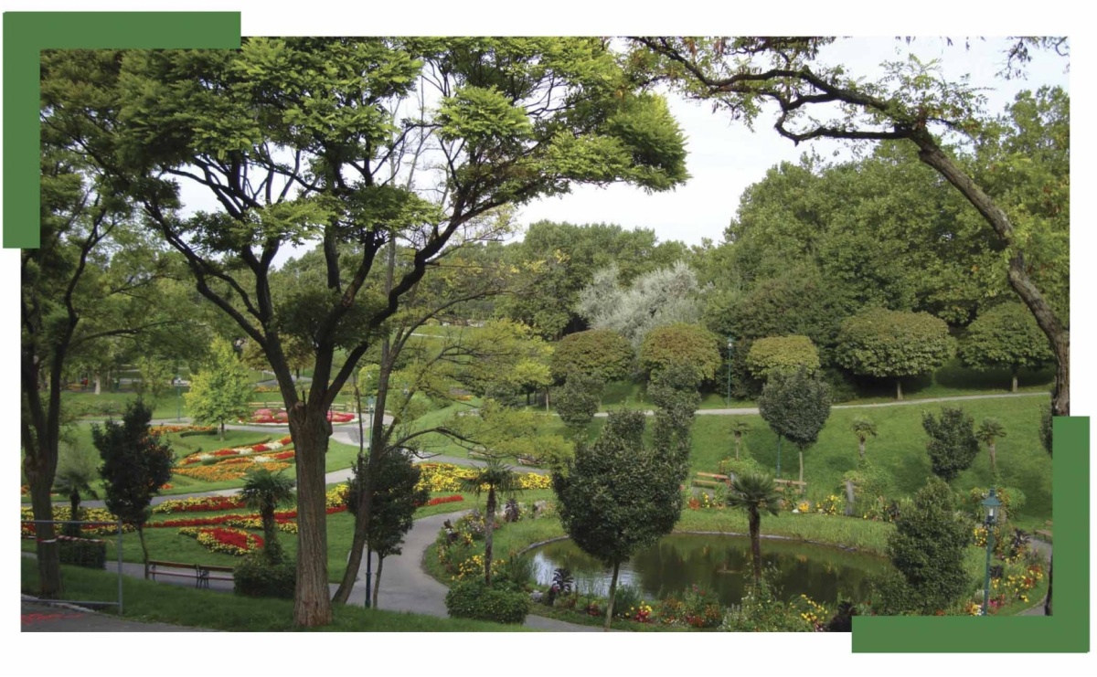 Błękitno-zielona Infrastruktura. Ruszył nabór wniosków - Serwis informacyjny z Wodzisławia Śląskiego - naszwodzislaw.com