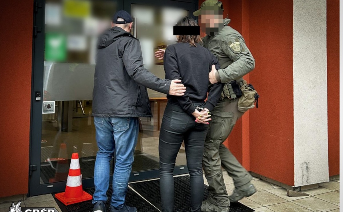 Zlikwidowano dwie nielegalne plantacje marihuany. Pięć osób zatrzymanych - Serwis informacyjny z Wodzisławia Śląskiego - naszwodzislaw.com