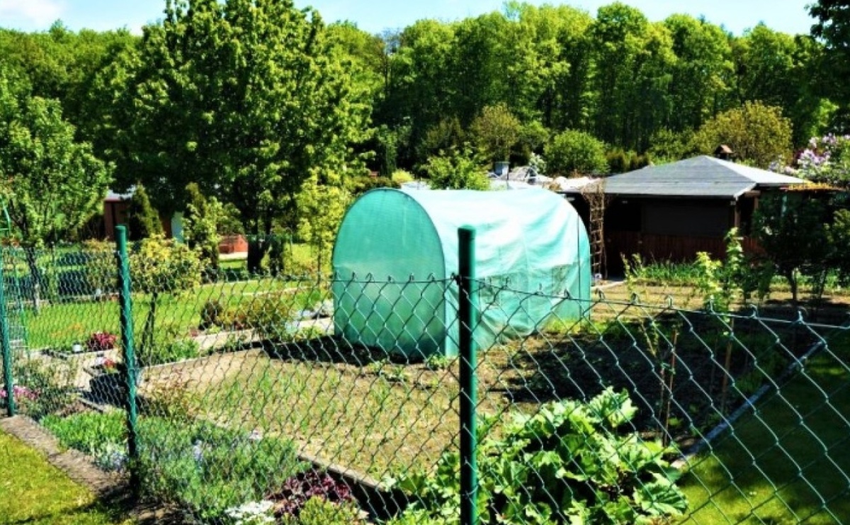 Wodzisław Śląski. Rodzinne Ogrody Działkowe czeka likwidacja? - Serwis informacyjny z Raciborza - naszraciborz.pl