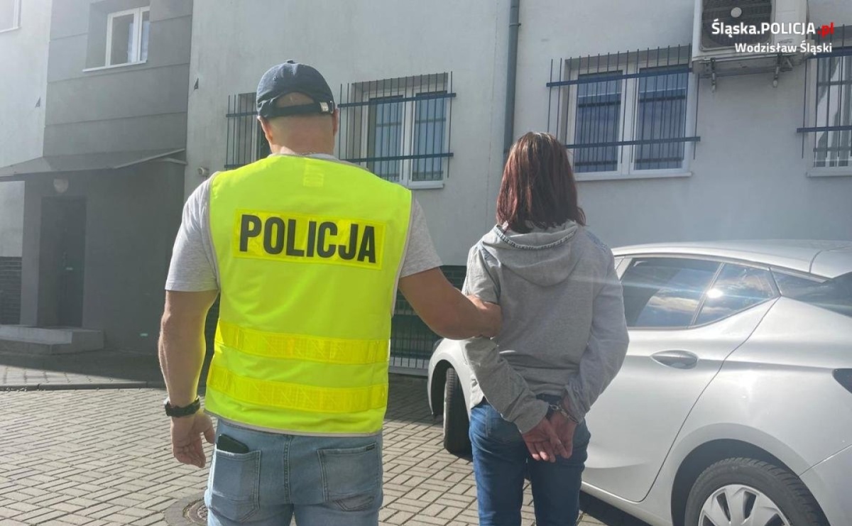 Tymczasowy areszt za pobicie ze skutkiem śmiertelnym - Serwis informacyjny z Wodzisławia Śląskiego - naszwodzislaw.com