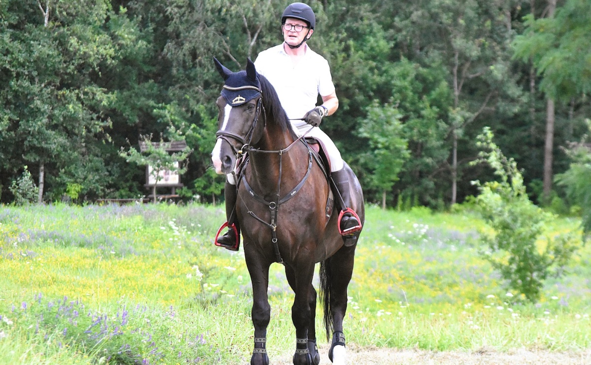 Lorens G. zwycięzcą Pokazu Koni Wszystkich Ras w Krostoszowicach - Serwis informacyjny z Wodzisławia Śląskiego - naszwodzislaw.com