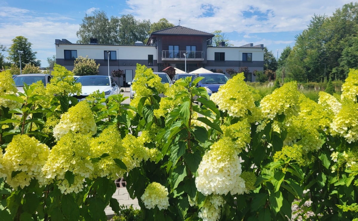 Festiwal Ku zdrowiu. Jordaszka zaprasza wystawców - Serwis informacyjny z Wodzisławia Śląskiego - naszwodzislaw.com