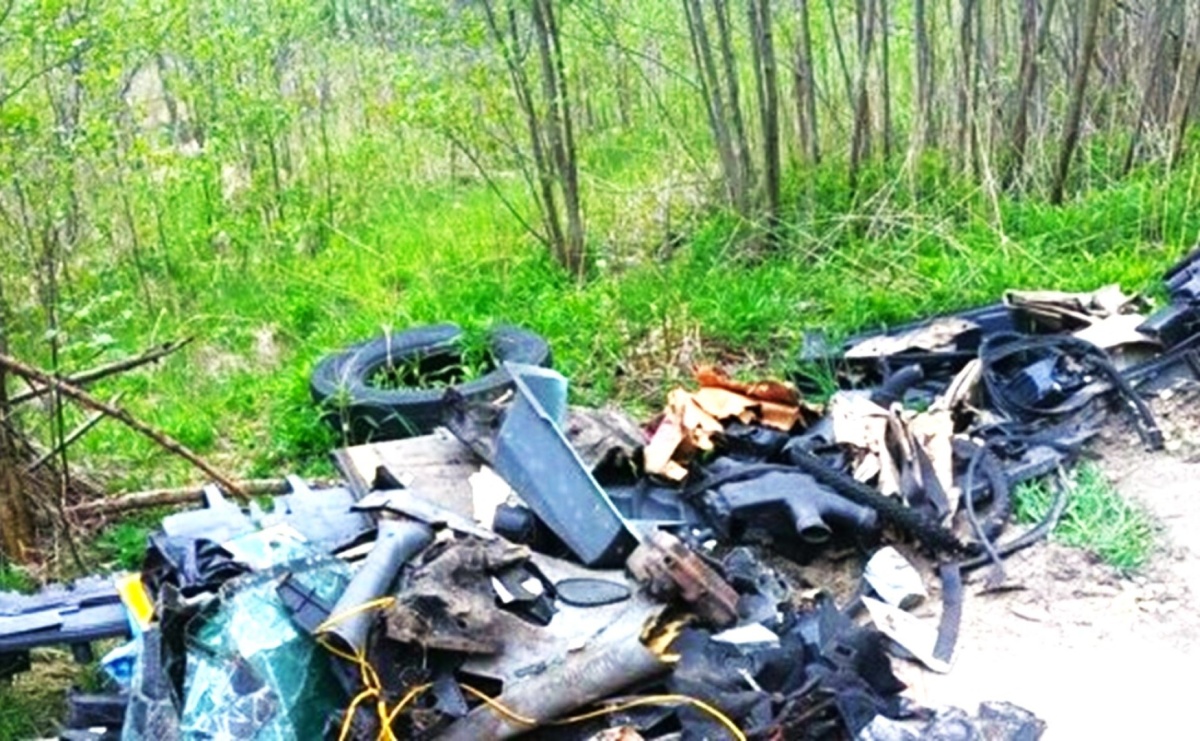 Gmina Mszana. Fotopułapki przynoszą wymierne korzyści - Serwis informacyjny z Wodzisławia Śląskiego - naszwodzislaw.com