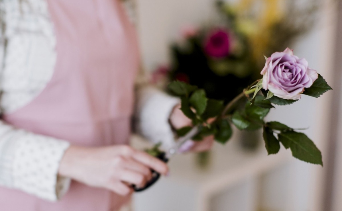 WyRÓŻniamy się pozytywnie - Serwis informacyjny z Raciborza - naszraciborz.pl