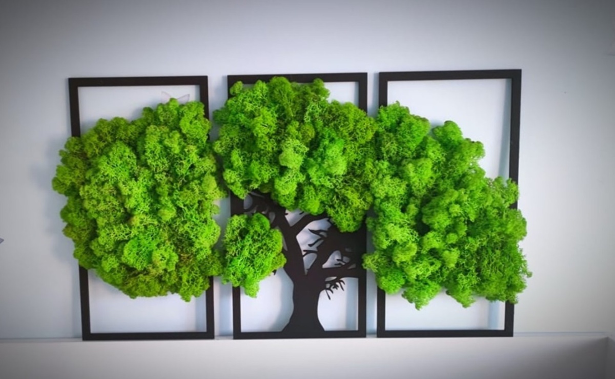 Warsztaty tworzenia obrazów z mchu chrobotka w innym terminie - Serwis informacyjny z Raciborza - naszraciborz.pl