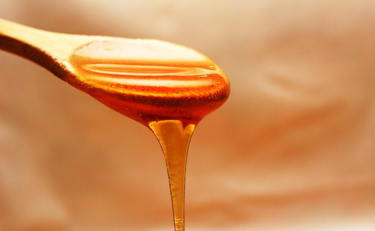 Miód Gryczany: Cud Natury na Twoim Stole - Serwis informacyjny z Raciborza - naszraciborz.pl