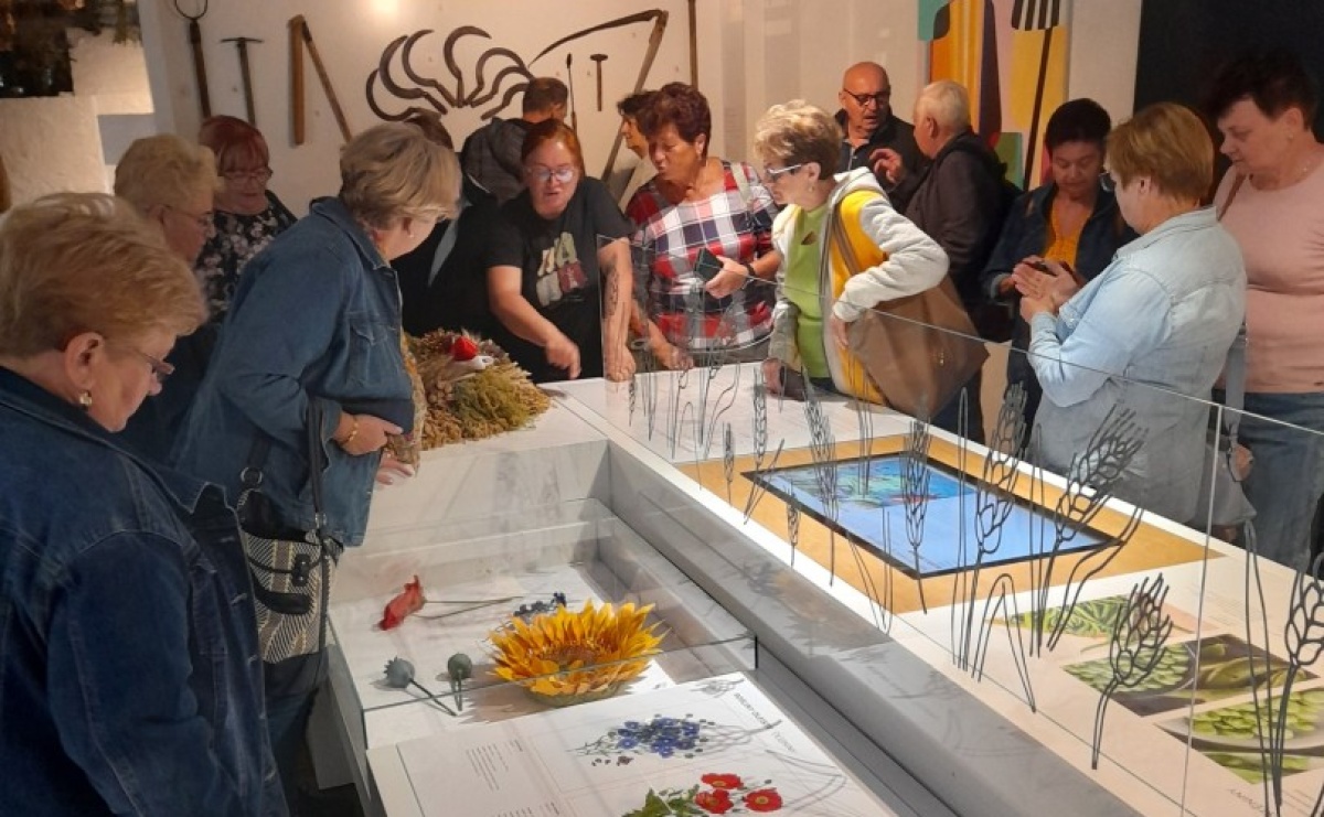 Seniorzy z Godowa i czeskiej gminy Petrovice integrowali się w Beskidzie Śląskim [FOTO] - Serwis informacyjny z Wodzisławia Śląskiego - naszwodzislaw.com