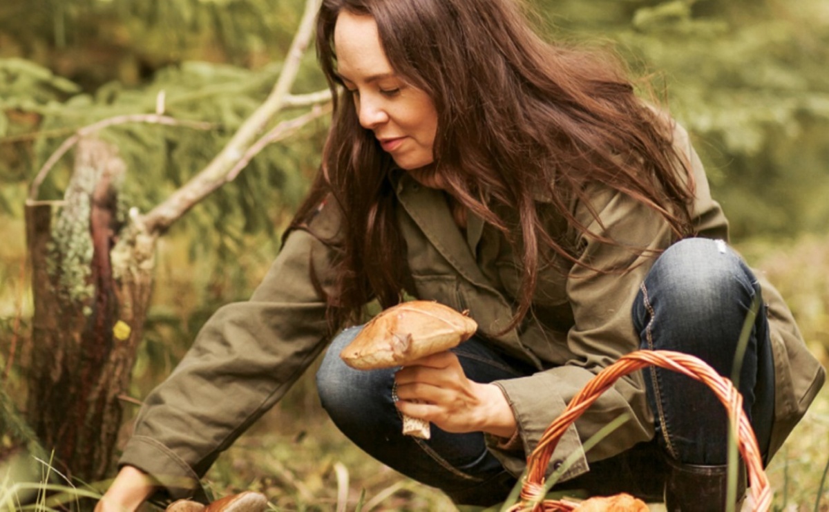 Policyjne rady na bezpieczne grzybobranie - Serwis informacyjny z Wodzisławia Śląskiego - naszwodzislaw.com